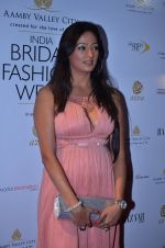 Brinda Parekh on Day 6 at Bridal Fashion Week 2013 in Grand Hyatt, Mumbai on 4th Dec 2013